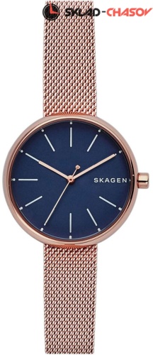 Женские Skagen Leather SKW2593 фото
