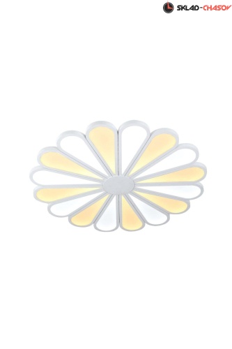 Lucia Tucci Miracoli 203.20 LED фото