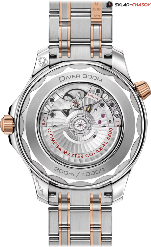 Omega 21020422001001 фото фото 2