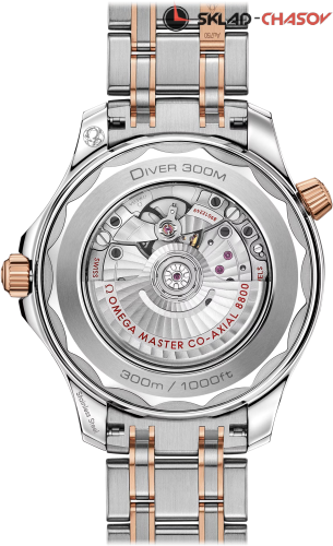 Omega 21020422001001 фото фото 2