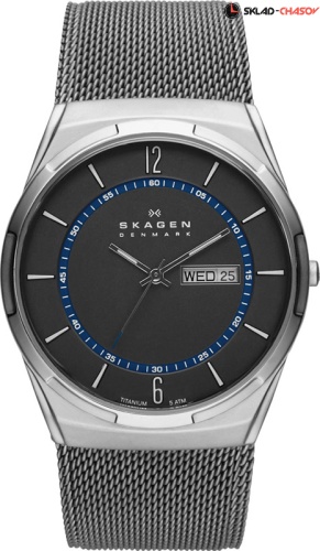 Мужские Skagen Mesh SKW6078 фото