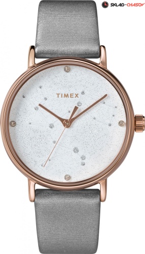 Timex TW2T87500VN фото