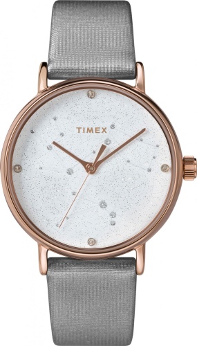 Timex TW2T87500VN фото