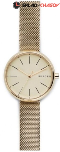 Женские Skagen Leather SKW2614 фото