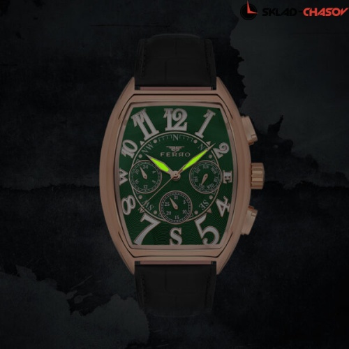 Наручные часы FERRO FM11447BWT-R10 фото фото 5
