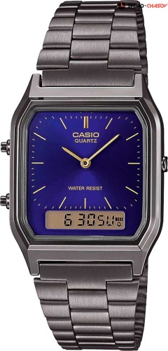 Casio AQ-230EGG-2AEF фото