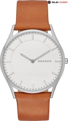 Мужские Skagen LEATHER SKW6219 фото
