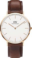 Daniel Wellington DW00100006 фото