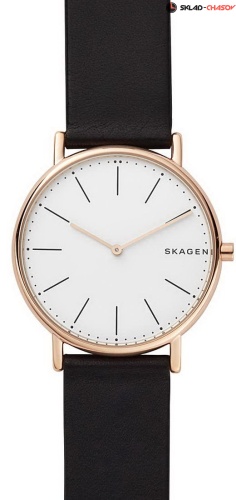 Мужские Skagen Leather SKW6430 фото
