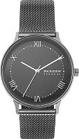 Skagen Nillson SKW6624 фото