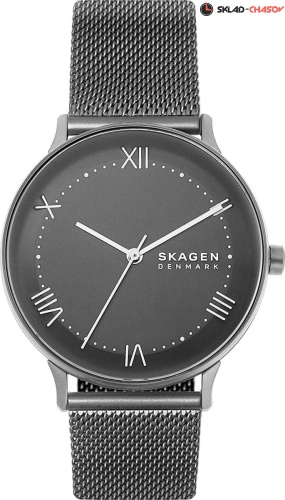 Skagen Nillson SKW6624 фото